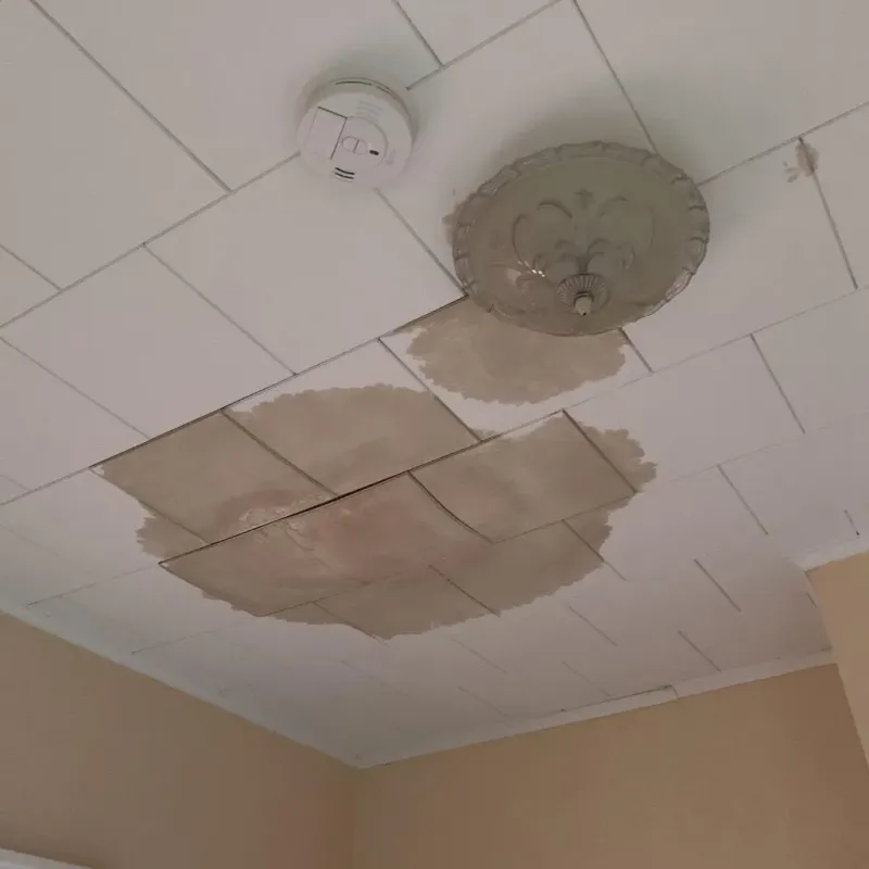 Ceiling Water Damage Repair in Louisville, OH