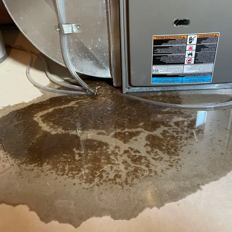 Pipe Burst and Leak Restoration in Louisville, OH
