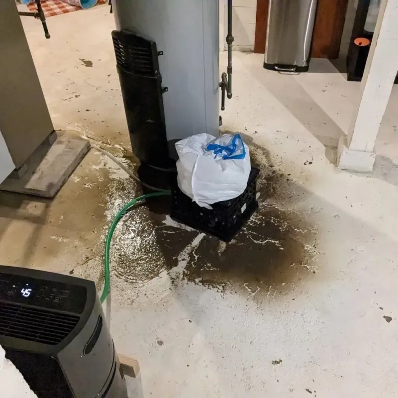 Sewage Backup Cleanup Service in Louisville, OH